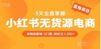 众狼电商余文:小红书无货源运营电商风口(13节课)